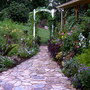 summer flowers