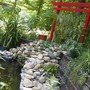 feature ideas