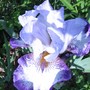 5-23-09_007