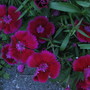 5-23-09_010