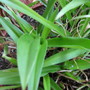 5-23-09_002
