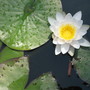 5-23-09_011