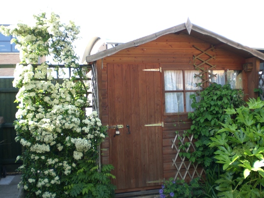 My Cabin