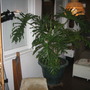 MemorialDay2009_010.jpg