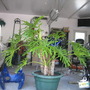 MemorialDay2009_017.jpg