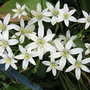2009-05-28_011goy