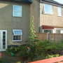 My Triffid as the children call it - May 2009
