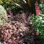 Dsc00075resized