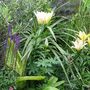 Image040