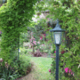 IMG_0566-com.gif