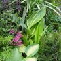 Image020