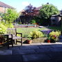 Early morning view from my patio doors.jpg