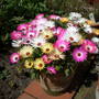 Picture_067