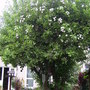 Captured_2007-6-9_00041
