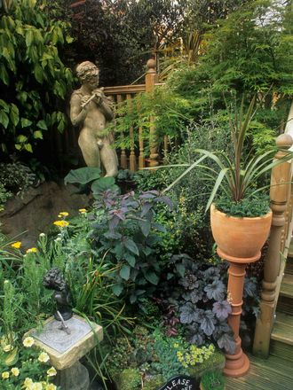 This was the first colour theme around the wildlife pond in 2005