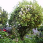 Captured_2007-6-11_00011