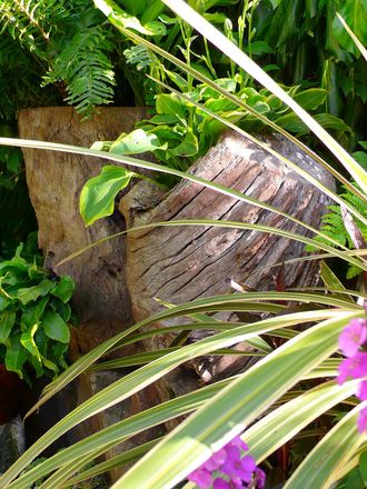 Part of the stumpery near the woodland garden
