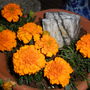 Picture_039