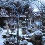 Winter_9
