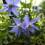 Winter_2006-07_114