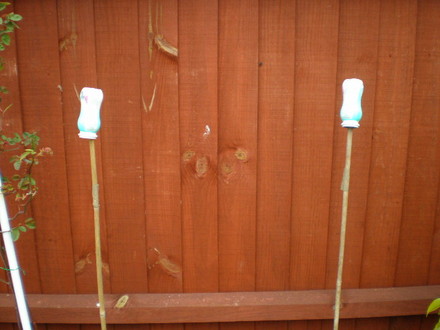 YOQUART POTS