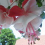 6-21-09_010