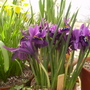 Captured_2008-3-24_00016