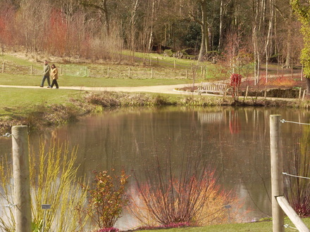 Captured_2008-3-24_00013.jpg