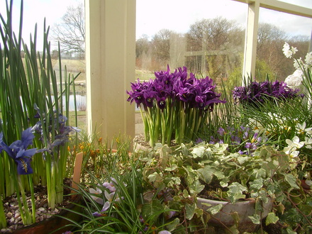 Captured_2008-3-24_00014.jpg