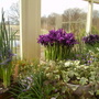 Captured_2008-3-24_00014