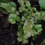 March_2008_016