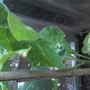 Photo-0011