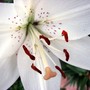 6-30-09_007