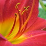 6-30-09_005