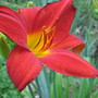 6-30-09_004