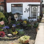 garden_on_14th_june__09_018.jpg