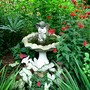 Filling in around the birdbath