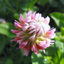 091-1