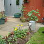 Old Watering Can