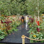 Small garden - Colour From the Garden