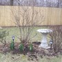 Planting trio