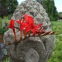 _lucifer__and_a_finial