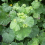 Captured_2005-12-31_00002