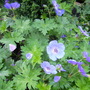 Captured_2005-12-31_00007