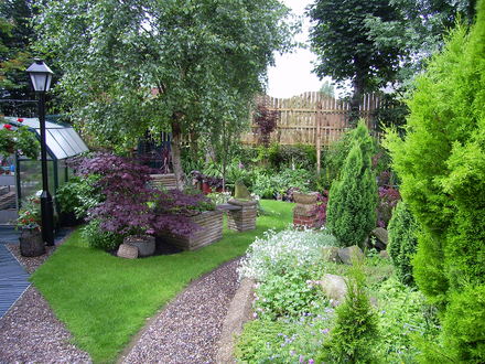 Shadier part of my garden.