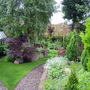 Shadier part of my garden.