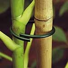 Soft Plant Rings - Plant Ties