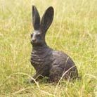 prairie hare bronze hare