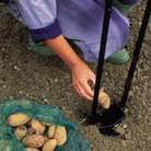 potato planter