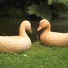 terracotta mallard